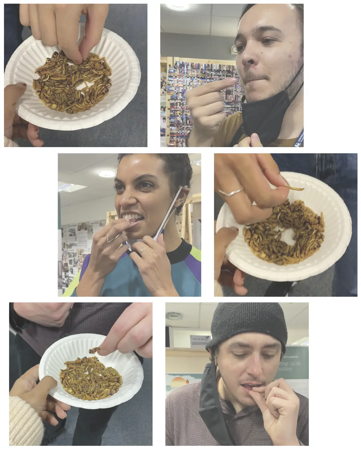 Creating a stronger connecting between the current food spaces by:
- Pedestrianising the road with a grassland
- Utilising abandoned building for education centres and community farming.

Linked to the Food Hub is an education centre sharing information on edible insects and Dudley’s biodiversity. Also offers insect cooking lessons to the local community and schools.

Immersed within the grassland is areas where existing buildings can extend out onto the street to create a stronger bond with new sustainable environment.

Redesigning the Market Place with more levels of outdoor seating to create a new experience and environment of eating food on the High Street.

Gardening and insect farming spaces integrated within the buildings. By bringing all the food production onto the High Street will help reduce food waste and also offer fresh produce to the locals. - Sita Patel Food Hub 4.png